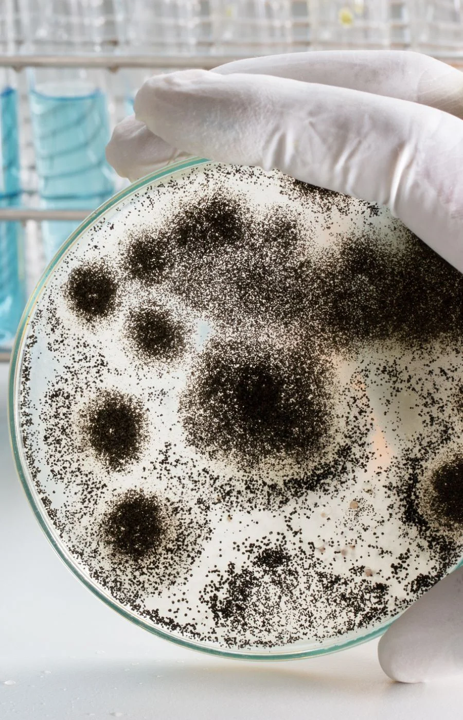 Mould inspection in progress